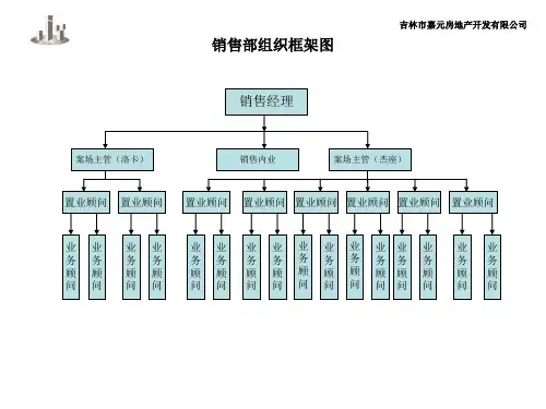 销售部组织框架