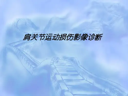 肩关节运动损伤PPT课件