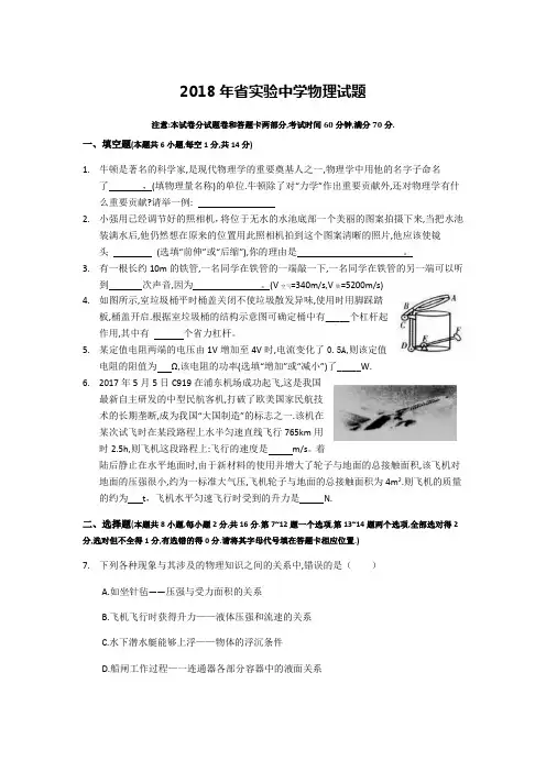 2018郑州市中学考试物理模拟精彩试题  (附有问题详解)