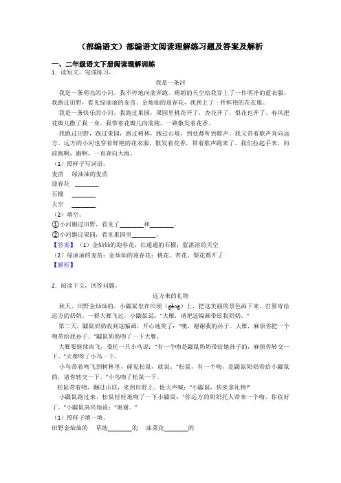 二年级(部编语文)部编语文阅读理解练习题及答案及解析