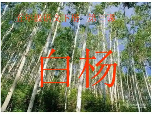 五年级语文下册 第三课