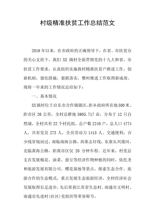 村级精准扶贫工作总结范文
