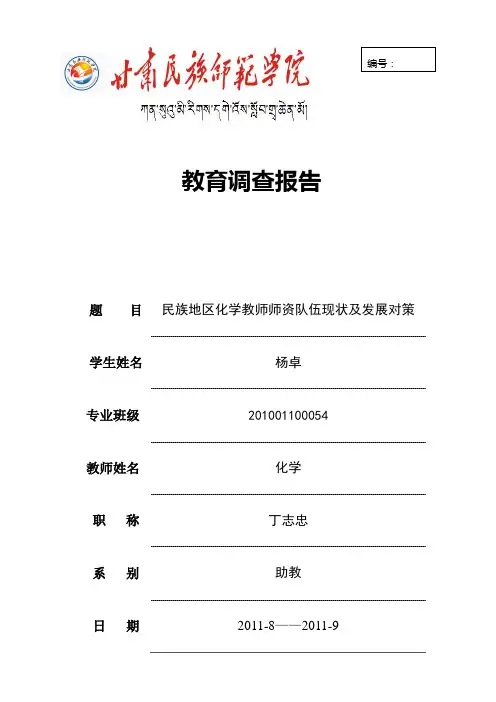 教育调查报告表