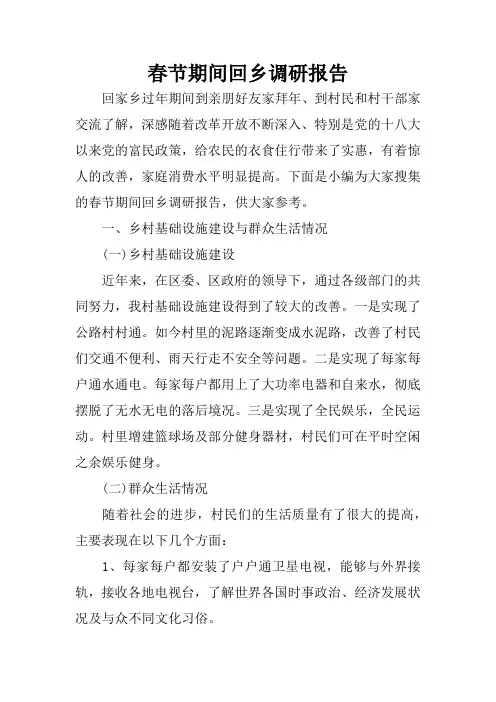 春节期间回乡调研报告