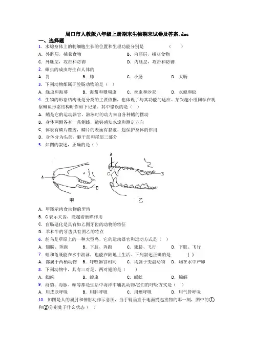 周口市人教版八年级上册期末生物期末试卷及答案.doc