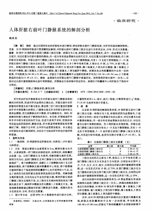 人体肝脏右前叶门静脉系统的解剖分析