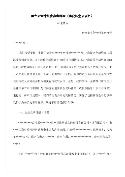 专项审计报告参考样本