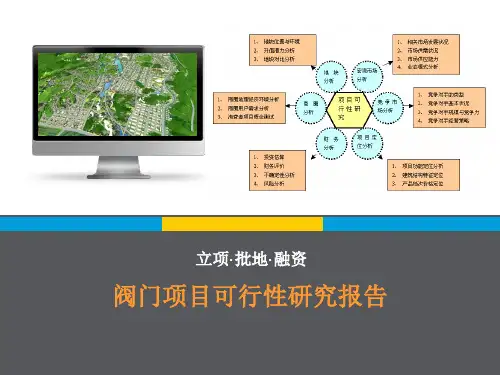 阀门项目可行研究报告(写作大纲)