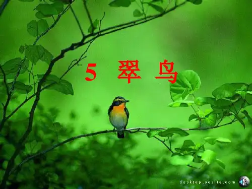 优质课一等奖小学语文三年级下《翠鸟》课件