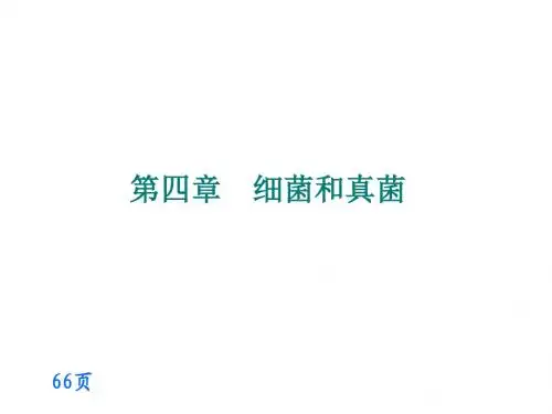 八上 第四章 第一节细菌和真菌的分布