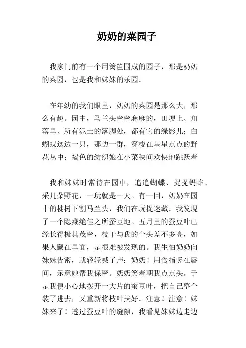 奶奶的菜园子