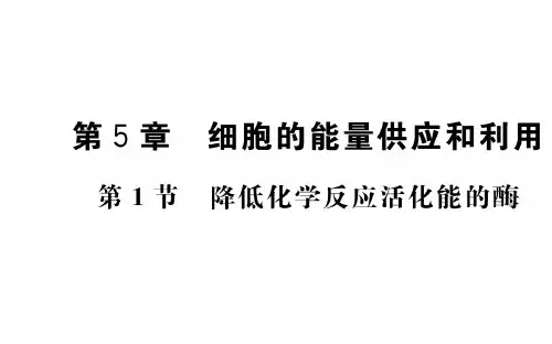 人教版高中生物必修一课件：第5章 第1节 降低化学反应活化能的酶