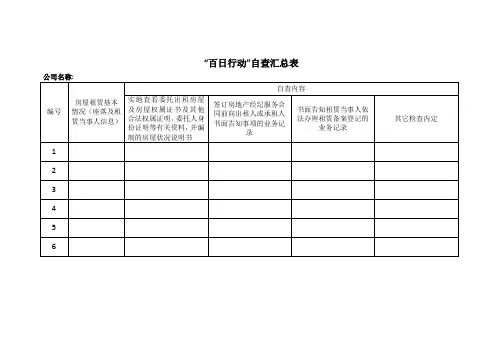 “百日行动”自查汇总表自检表格