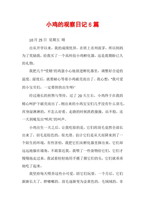 小鸡的观察日记6篇