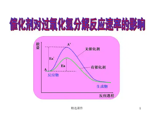 催化剂对过氧化氢分解反应速率的影响