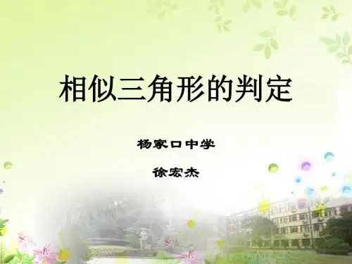 相似三角形的判定AA