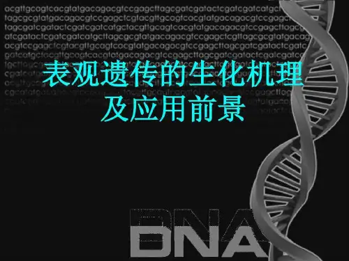 表观遗传的生化机理及应用前景42页PPT