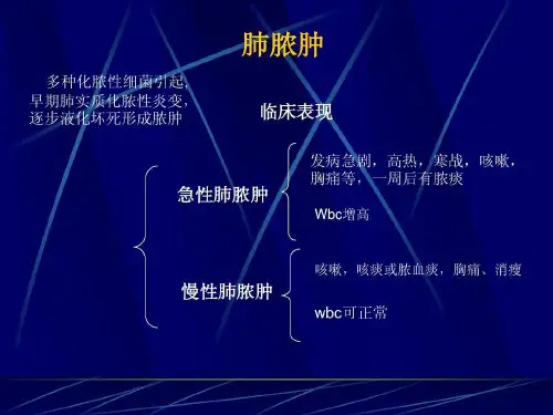 肺脓肿临床表现共33页文档