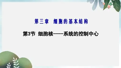高中生物第三章细胞的基本结构3.3细胞核_系统的控制中心课件1新人教版必修1