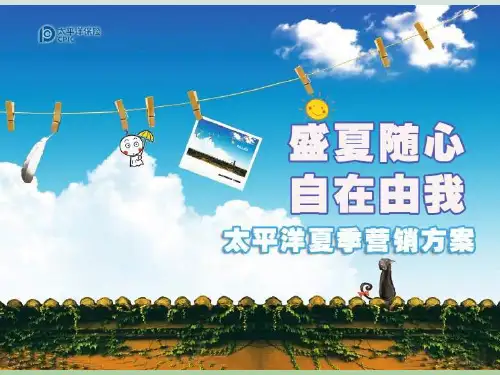 太平洋保险夏季营销方案PPT(共24页)