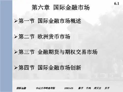 6国际金融市场.ppt