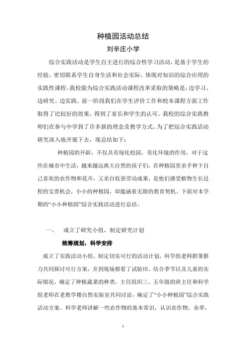 综合实践活动总结 2
