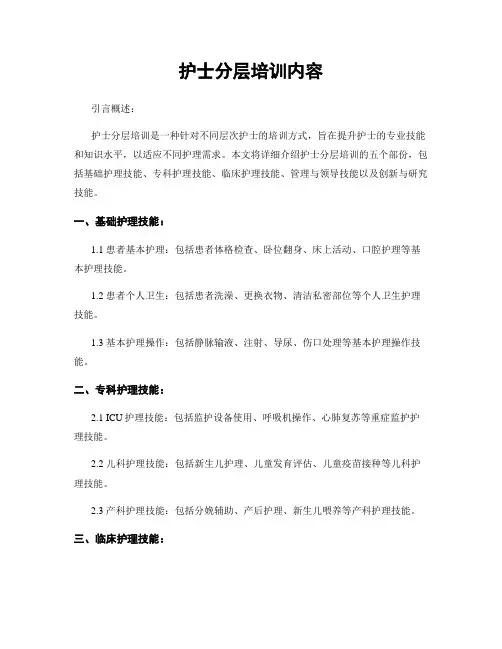 护士分层培训内容 2