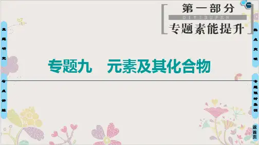 高考化学复习PPT课件(原文)+专题元素及其化合物
