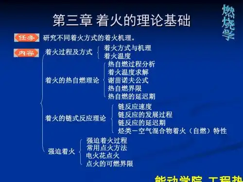 燃烧学-3.着火的理论基础-PPT精品文档