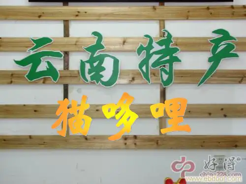 猫哆哩