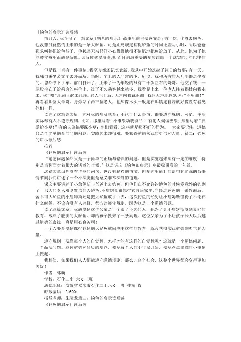 钓鱼的启示读后感