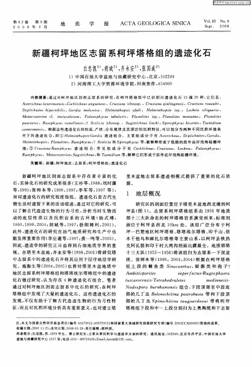 新疆柯坪地区志留系柯坪塔格组的遗迹化石