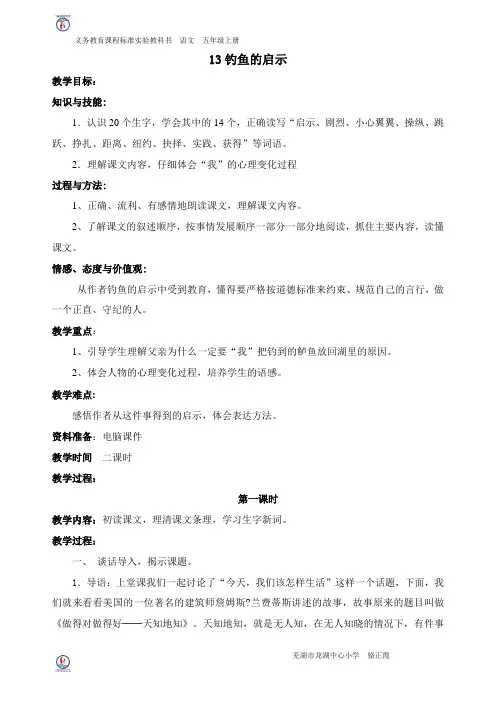 13、《钓鱼的启示》第一课时_20121027102122171