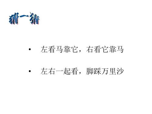 三年级下册《小骆驼》