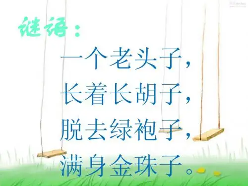 湘教版语文二年级下册19《金色的玉米棒》课件 (1)