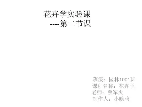 花卉学实验课(2).