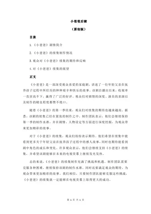 小爸爸后续 2