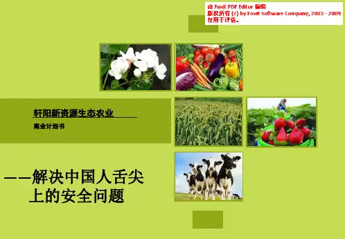农业科技.商业计划书