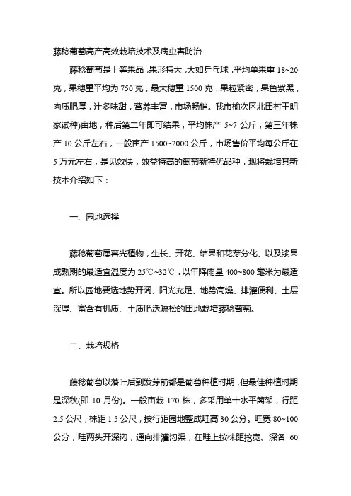 藤稔葡萄高产高效栽培技术及病虫害防治