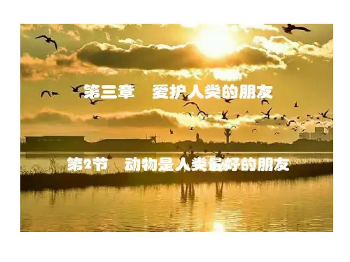 动物是人类最好朋友51页PPT