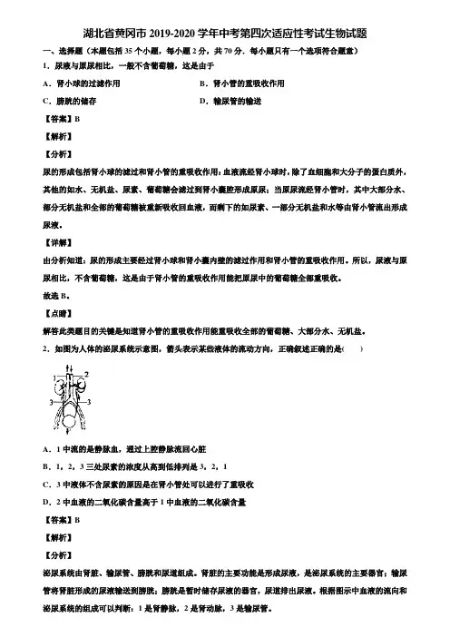 湖北省黄冈市2019-2020学年中考第四次适应性考试生物试题含解析