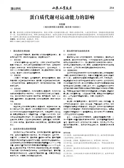 蛋白质代谢对运动能力的影响