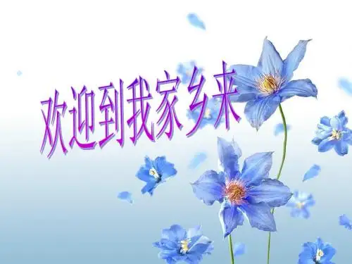 我的家乡济南