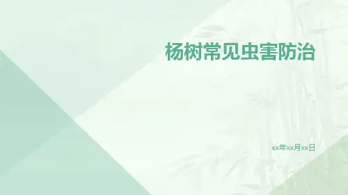 杨树常见虫害防治