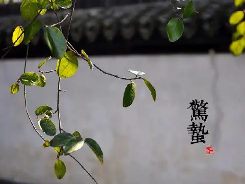 在农历的天空下:二十四节气之惊蛰