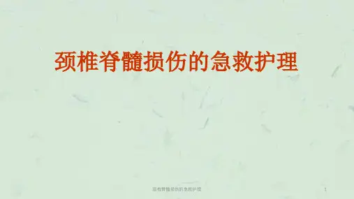 颈椎脊髓损伤的急救护理课件
