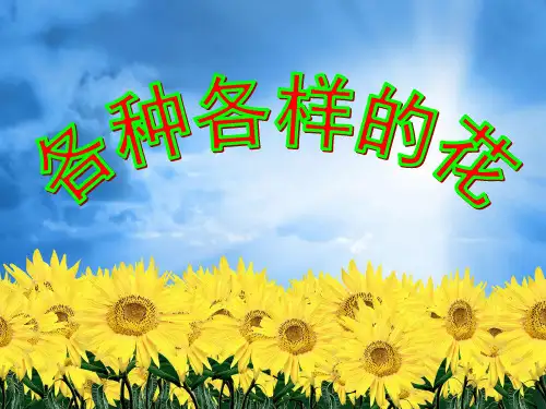 各种各样的花