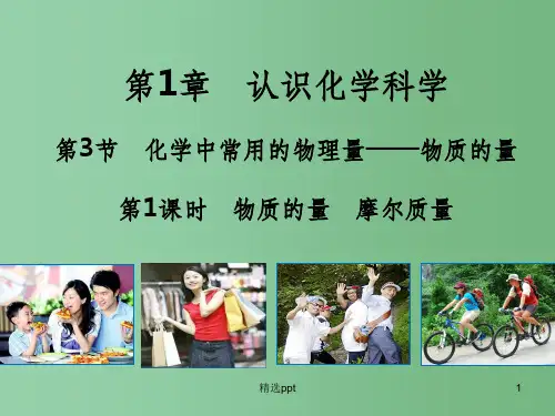 (教师参考)高中化学 1.3.1 物质的量 摩尔质量课件1 鲁科版必修1