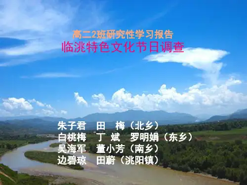临洮特色文化研究