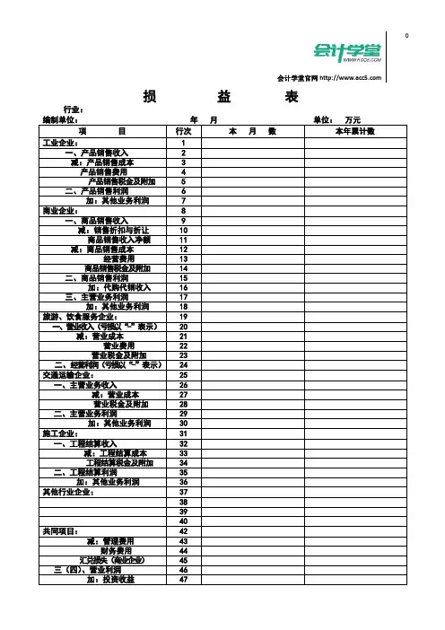 损益表表格 2